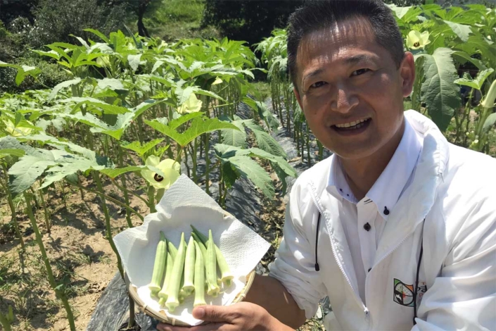 長門市の伝統野菜「白オクラ」（2018年7月）